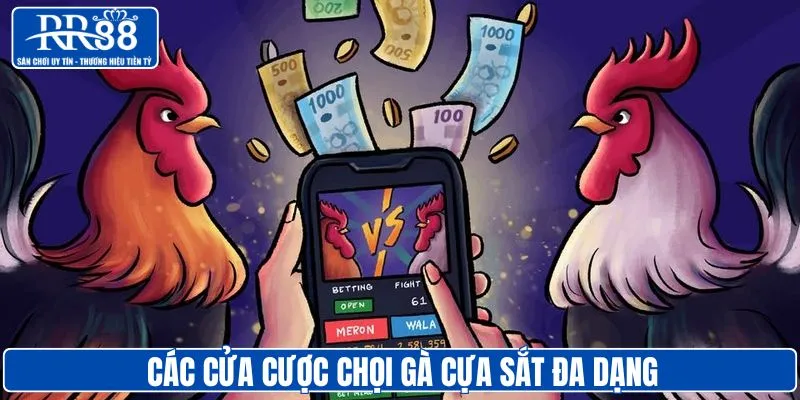 Các cửa cược chọi gà cựa sắt luôn đa dạng